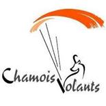 Handi Chamois Volants